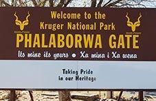 Kruger National Park landscape in South Africa